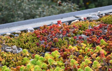 the cost of Great Barrow green roof installation