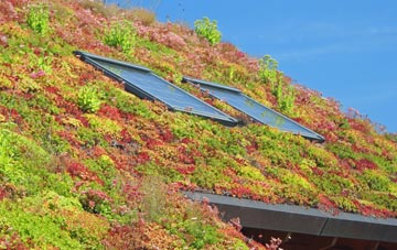 Great Barrow living roof systems